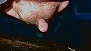 Mijn ...., foto 640x360, 0 reacties, 2 stemmen