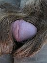 Mijn haarfetish, foto 1440x1920, 0 reacties, 5 stemmen