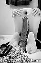 Mijn paarden dildo..., foto 1125x1688, 20 reacties, 40 stemmen