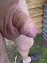Mini, foto 3000x4000, 0 reacties, 6 stemmen