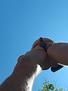 Mister, foto 2556x3408, 2 reacties, 3 stemmen