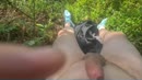 Gratis porno films
