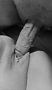 Mmm, foto 1640x2767, 2 reacties, 18 stemmen