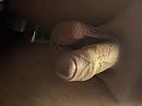 Mmm, foto 3088x2316, 1 reacties, 1 stemmen