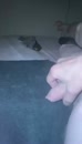 Mmmm, film 00:00:00, 3 reacties, 9 stemmen