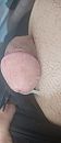 Mmmm, foto 1572x3579, 1 reacties, 4 stemmen