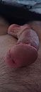 Mmmmm kom al beetje uit, foto 1800x4000, 2 reacties, 8 stemmen