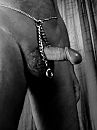 Mmmmmm waar wil je hem ?, foto 768x1024, 1 reacties, 2 stemmen