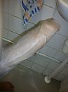 Mohnish wil er ook bij...., foto 1944x2592, 1 reacties, 3 stemmen
