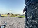 Mooi weertje, foto 4000x3000, 3 reacties, 14 stemmen