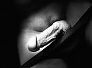 Mooie pik ?, foto 3088x2316, 0 reacties, 1 stemmen