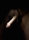 Mooie pik zoekt dames …, foto 2316x3088, 0 reacties, 1 stemmen