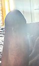 Morning wood, foto 2220x3744, 0 reacties, 0 stemmen
