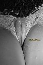 Mossel op het strand..., foto 1055x1559, 4 reacties, 10 stemmen