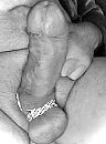 Mujn pik, foto 909x1228, 0 reacties, 4 stemmen