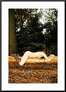 Muze kunstenaar, foto 922x1264, 0 reacties, 1 stemmen