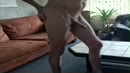 My Dick, film 00:00:00, 1 reacties, 14 stemmen