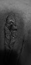 Nat van genot, foto 1944x4000, 23 reacties, 38 stemmen