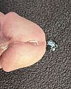 Natte knop, foto 1827x2287, 0 reacties, 2 stemmen