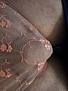 Net omgekleed, foto 3000x4000, 2 reacties, 10 stemmen