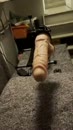 Neukmachine, film 00:00:16, 2 reacties, 23 stemmen