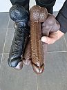 Nieuw speelgoed!, foto 3000x4000, 6 reacties, 13 stemmen