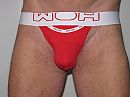 nieuwe tanga, foto 2952x2214, 2 reacties, 5 stemmen