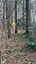 Nog een buitenfoto, foto 1152x2048, 7 reacties, 29 stemmen