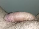 Nog maar net wakker ..., foto 3264x2448, 0 reacties, 1 stemmen