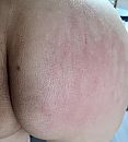 Nog meer klappen., foto 3022x3335, 1 reacties, 7 stemmen