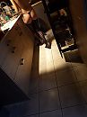 Nog ne keer haar kontje, foto 3000x4000, 15 reacties, 47 stemmen
