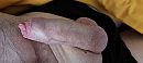 Odol, foto 4000x1802, 2 reacties, 7 stemmen