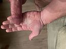 Oeps … geil, foto 4000x3000, 4 reacties, 9 stemmen