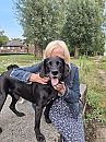 Ons maatje, foto 1530x2040, 22 reacties, 82 stemmen