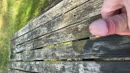 Op de picknicktafel, film 00:00:00, 16 reacties, 28 stemmen