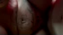 Op verzoek van…, film 00:00:16, 6 reacties, 21 stemmen