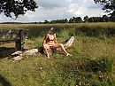 Op de heide, foto 2808x2106, 24 reacties, 108 stemmen