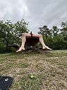 Op de picknicktafel, foto 3000x4000, 2 reacties, 12 stemmen