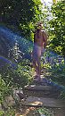 Op stap in m'n tuintje., foto 2088x3712, 1 reacties, 10 stemmen