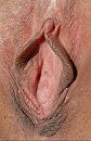 Open, foto 669x1026, 11 reacties, 27 stemmen