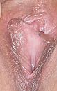 Open, foto 528x832, 7 reacties, 19 stemmen