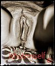 Open, foto 1023x1220, 15 reacties, 32 stemmen