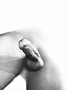 Opzoek naar geil contact, foto 2316x3088, 0 reacties, 1 stemmen