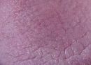 Oud, foto 313x227, 0 reacties, 3 stemmen
