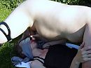 Outdoor, foto 640x480, 4 reacties, 55 stemmen