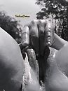 Outdoor fun, foto 3000x4000, 7 reacties, 32 stemmen