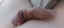 Ouwe lul in rust, foto 4000x1802, 3 reacties, 4 stemmen