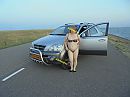 Pal in de wind, foto 4000x3000, 17 reacties, 138 stemmen