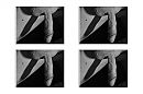 Pasfoto's, foto 1323x882, 1 reacties, 3 stemmen