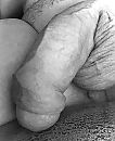 Penis, foto 2300x2809, 0 reacties, 2 stemmen